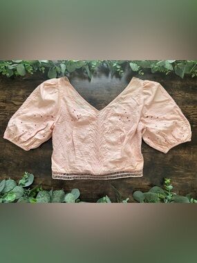 Express Blush Eyelet V-Neck Crop Top